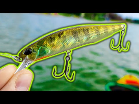 This Is My New FAVORITE JERKBAIT! [I Can't Believe This Happened]