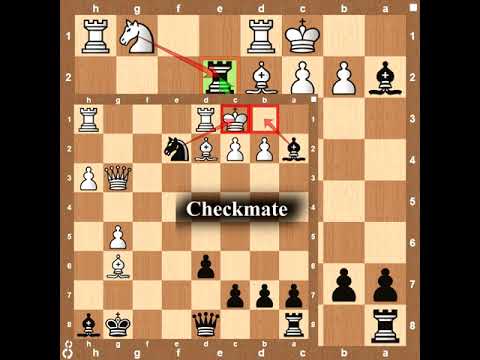 Combination with Queen + Knight sacrifice, brilliant 👀"wombo combo " 👀