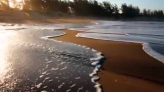 Deniece Williams  Free + Lyrics