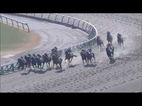 Ashaka Tobu (JPN) wins race 3 at Nakayama 1/5/2019