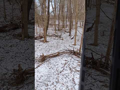 Indiana deer hunting 350 legend AR-15 aero precision vortex saddle hunting one sticking mad rock ewo