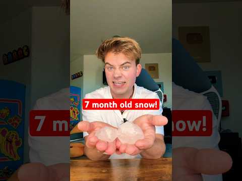 I froze these snowballs 7 months ago to get my brother back!