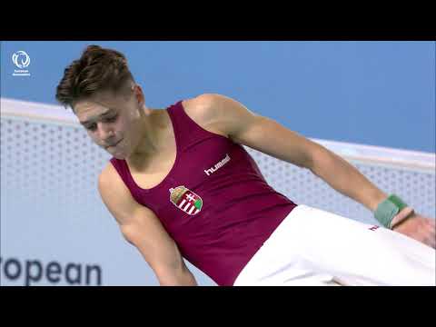 Krisztofer MESZAROS (HUN) - 2020 Europeans, pommel horse final