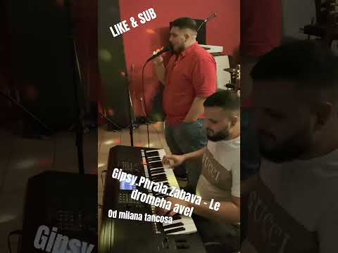 Gipsy Phrala Zabava - Le Dromeha #cover#music#sound#piano#song#fyp #trending#foryou#trendingshorts