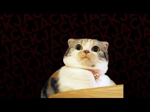 The Official Podcast #120 With CallMeCarson