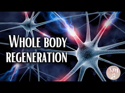 Suit Your Mood and Healing Frequencies