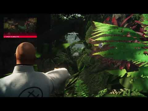 HITMAN™ 2 -  Jungle Heaven PS4 Contract - world record #1 score!