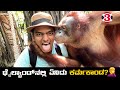 ಬೇಕಿತ್ತಾ ಇದು ನನಗೆ Orangutan ‍ ️ Thailand Kannada Vlog Dr Bro