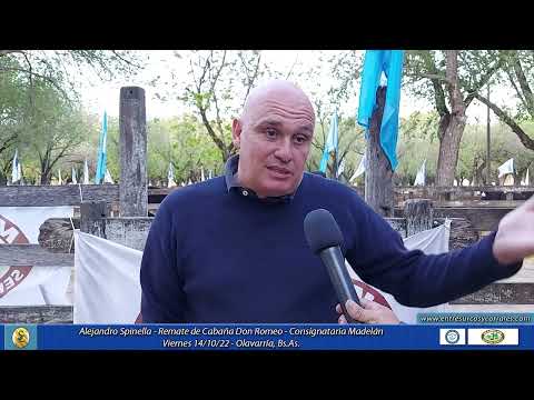 14-10-22 - Alejandro Spinella - Remate de Cabaña Don Romeo -  Consignataria Madelan - Olavarría