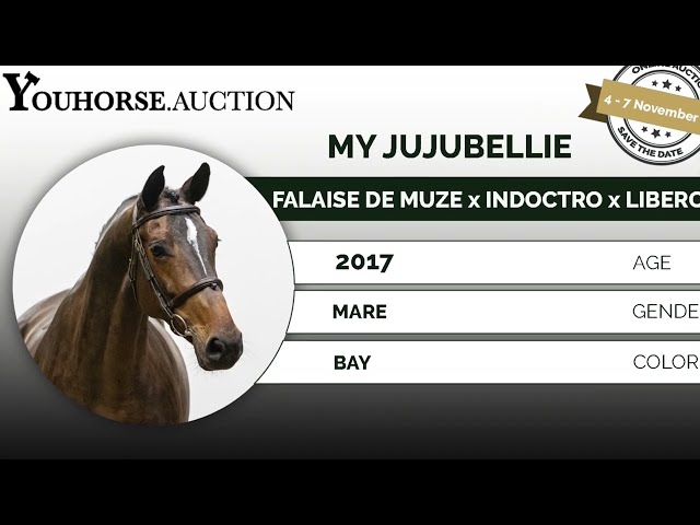 My Jujubellie