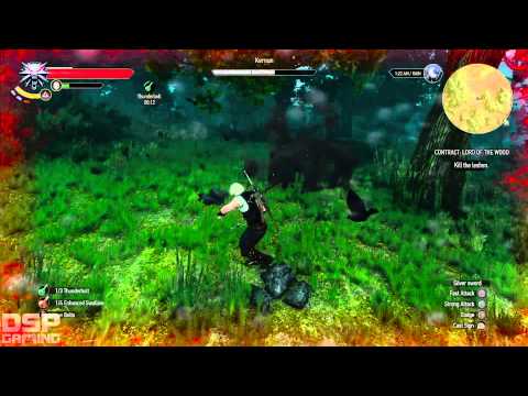 The Witcher 3 (PS4) playthrough pt118 - Leftovers: 2 Novigrad Monster Hunts