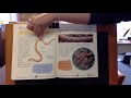 Earthworm Part 1