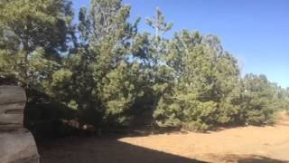 Church Tumbleweed Clean Up