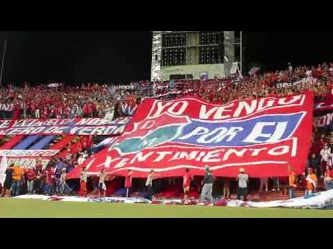 "Campeones por montones, hinchada solo hay una" Barra: Rexixtenxia Norte • Club: Independiente Medellín