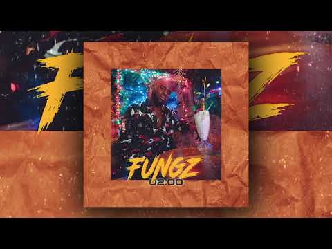 Fungz - 02:00 (Officiell Audio)