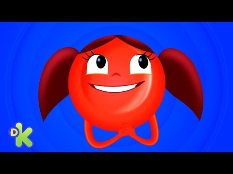 Como &eacute; o processo de cura de uma ferida? | O Show Da Luna | Discovery Kids Brasil