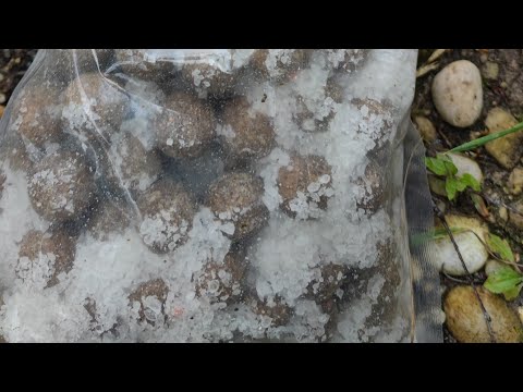 So einfach kannst du deine Boilies vom Salz trennen. Und auch die Boilies wässern oder einweichen.