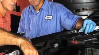 Todd''s Automotive Inc ., Macedon, NY 14502