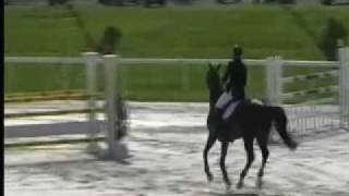 Video koně Comet A.S. FL.