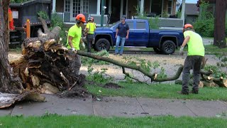 Cedar Falls picks up the pieces after Thursday's storms