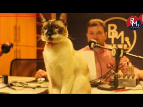 Mega News 10 de março de 2020