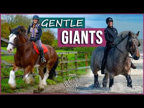 , title : 'Gentle Giants | Award-Winning Film | Meet Amazing Draft Horses!'