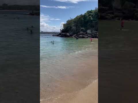 Shelly beach, Sydney