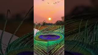Download lagu Feel This Sad Music (kyun kisi ko) | Tere Naam | || Udit Narayan, Himesh Reshammiya mp3
