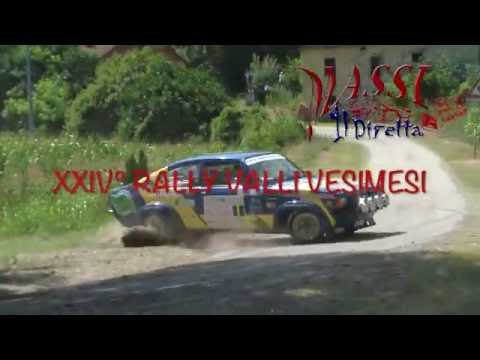 24° Rally Valli Vesimesi 2016 - Crash & mistakes - Pure Sound