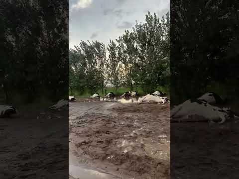 Impactante temporal en Canals - (Pcia. de Córdoba) - 19/2/26