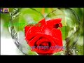 Phool Mangu Na Bahar Mangu