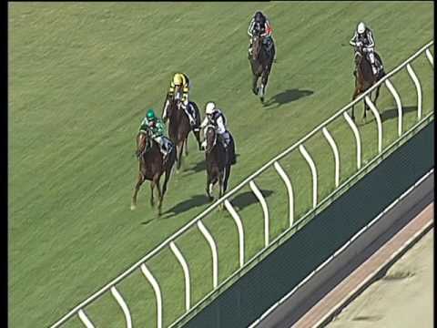 Galoppo 21/06/2017 - 4ª corsa