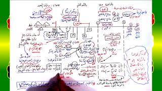 صورة 145 √ وثيقة العدد