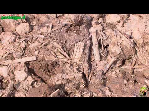 Artrosi del ginocchio video di esercizi ÑÐμÐ¹Ð½Ñ <й Ñ Ñ, ÐμÐ¾Ñ ... онÐÑ € оР· у пожиР»n <Ñ ... л ÐμÑ ‡ ÐμниÐμ
