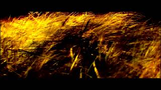 Dead Can Dance - The Wind That Shakes The Barley