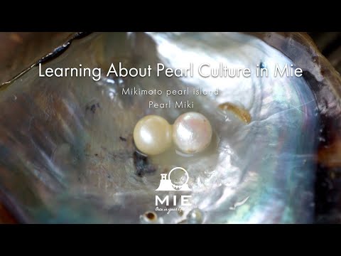 Learning About Pearl Culture in Mie - Mikimoto pearl island / Pearl Miki