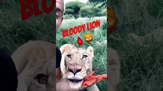 Eating with lions❗😳❗