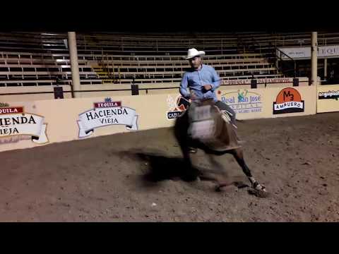 MATÍAS RUBIO Y EL CÁNTARO - EL CABALLO MÁS RÁPIDO DE MÉXICO DANDO LADOS