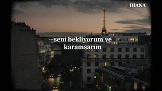 Emilie Simon - Desert ( Türkçe Çeviri )