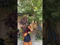 Janulyri Bonalu Song Nemedala Na Medala Nimmala Danda Bonalu Trending Folksong Dj Dance Fyp