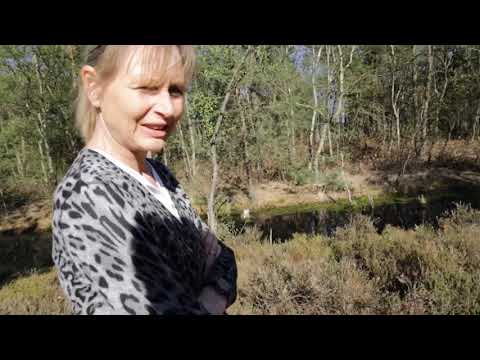 Sonntagsausflug zu den Kreuzottern