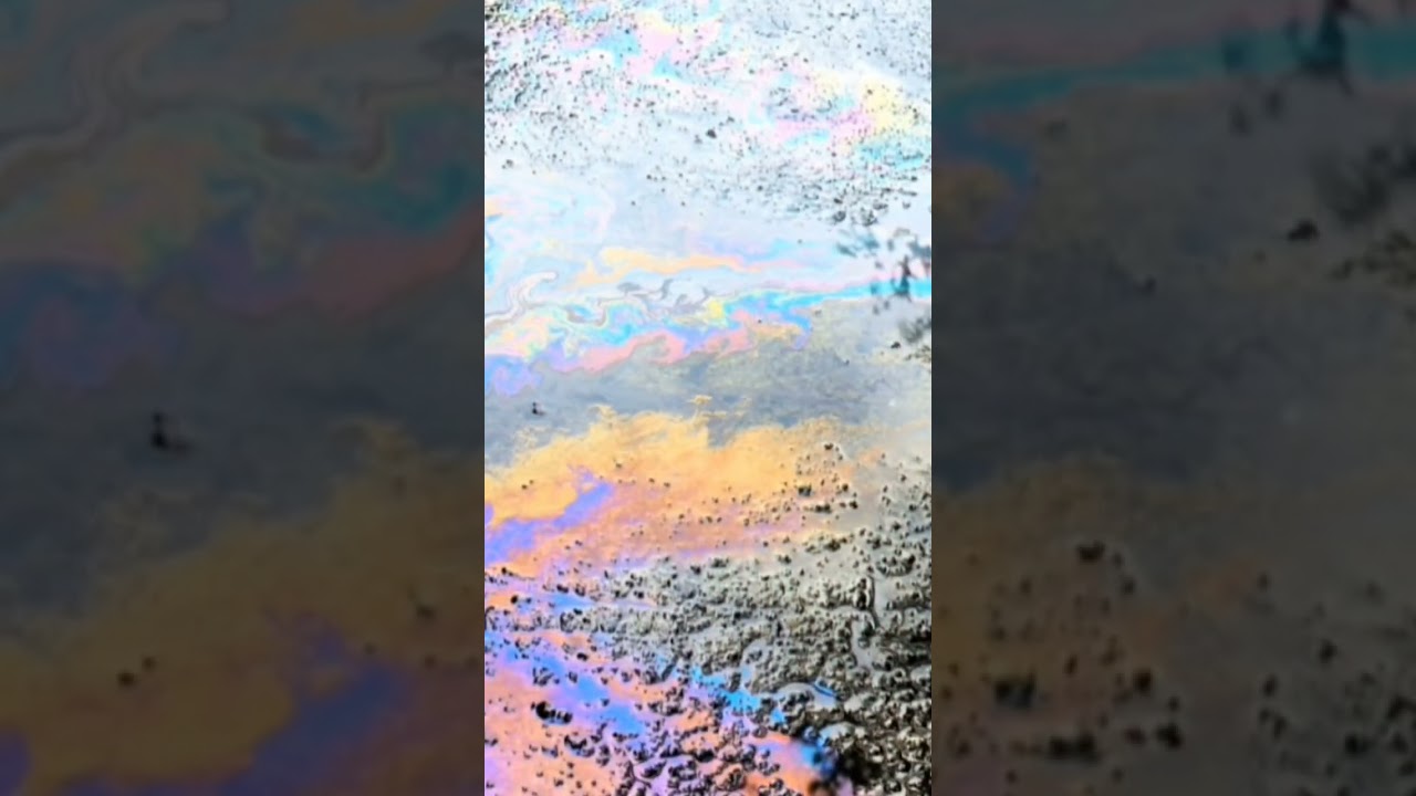 Bringing photography to life ! #mesmerizing #photography #colors