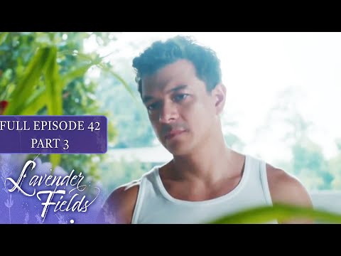Episode 42 | Part 3 of 4 | Lavender Fields | Jodi Sta. Maria, Jericho Rosales