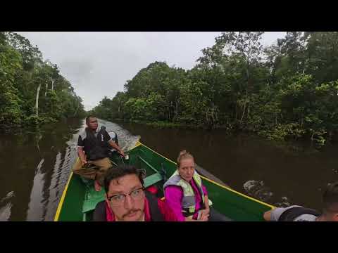 SE Asia Trip - Days 145-146 - Kinabatangan River, Malaysia