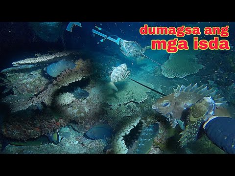 ep554 dive1 walang humpay na pamana dumagsa ang mga isda sa bagong spot