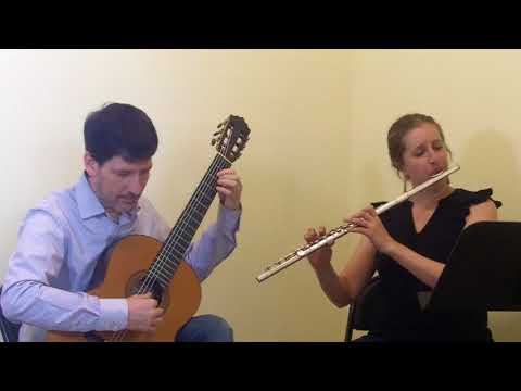 Daum & Hemmo Duo - Ave Maria by F. Schubert (guitar and flute)