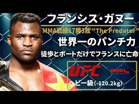 【新人類最強】『フランシス ガヌー』（Francis Ngannou）選手紹介 〜UFCファイター図鑑シリーズNo.0010〜【新UFCヘビー級王者】