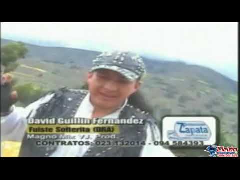 DAVID GUILLIN SOLTERA LOCA. render 2020