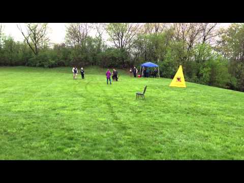 Peik Vom Holtkamper Hof Courage Bite work