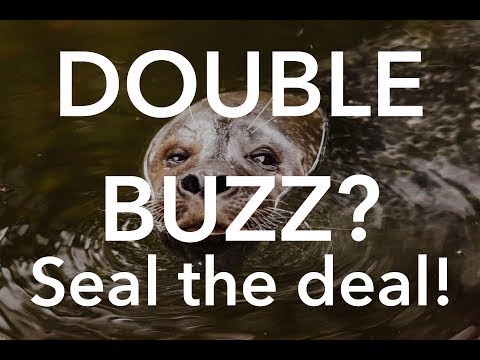 Double Buzz on Brass instruments ? Seal The Deal !